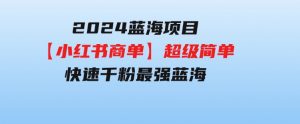 2024蓝海项目【小红书商单】超级简单，快速千粉，最强蓝海，百分百赚钱-财仔梦想资源网