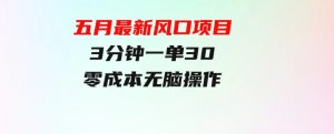 五月最新风口项目，3分钟一单30，零成本，无脑操作-财仔梦想资源网