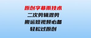 原创字幕雨技术，二次剪辑混剪搬运短视频必备，轻松过原创-财仔梦想资源网
