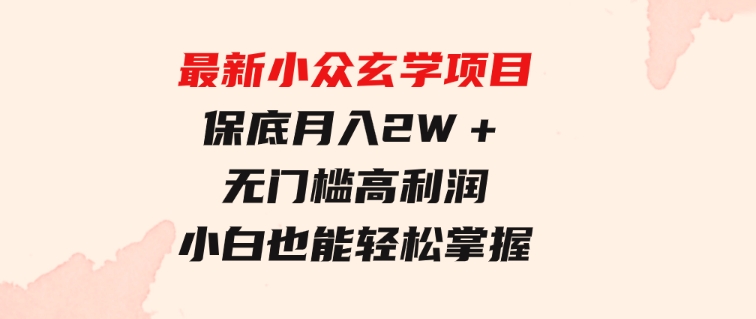 最新小众玄学项目，保底月入2W＋无门槛高利润，小白也能轻松掌握-财仔梦想资源网