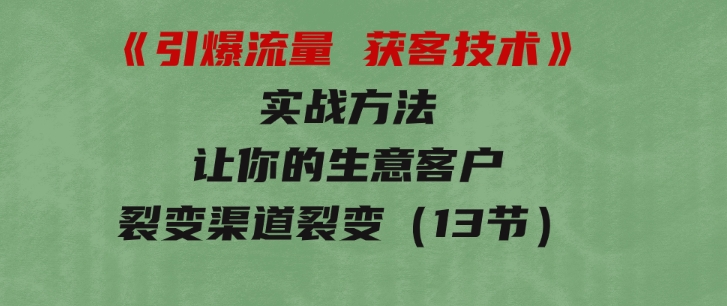 《引爆流量获客技术》实战方法，让你的生意客户裂变渠道裂变（13节）-财仔梦想资源网