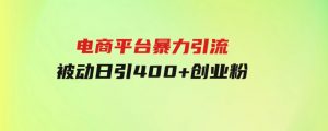 电商平台暴力引流,被动日引400+创业粉不发作品，不截流，不发私信-财仔梦想资源网