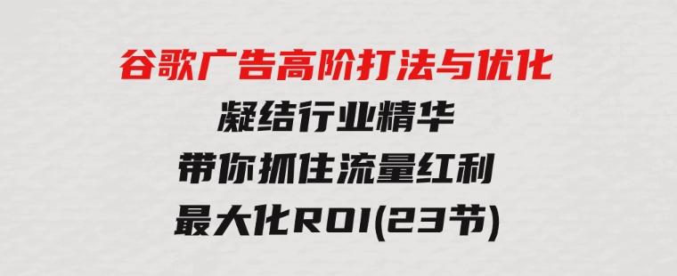 谷歌广告高阶打法与优化，凝结行业精华/带你抓住流量红利/最大化ROI(23节)-财仔梦想资源网