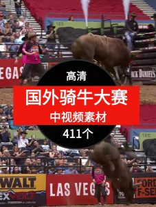 国外骑牛大赛视频素材中视频视频素材-411个-财仔梦想资源网