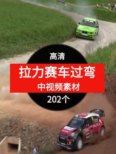 拉力赛车过弯视频素材中视频素材-170个-财仔梦想资源网