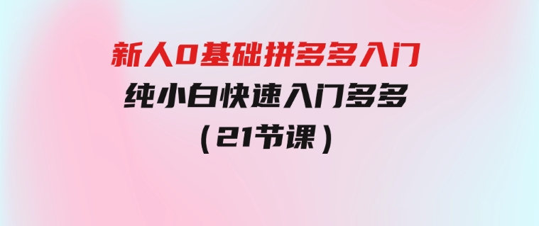 新人0基础拼多多入门，​纯小白快速入门多多（21节课）-财仔梦想资源网