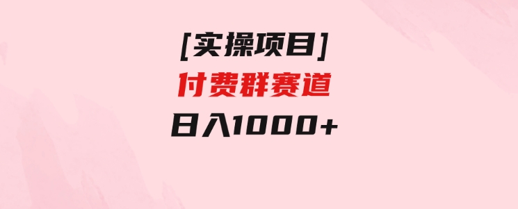 [实操项目]付费群赛道，日入1000+-财仔梦想资源网