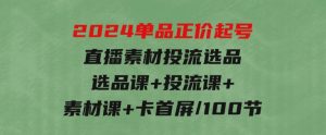 2024单品正价起号，直播素材投流选品：选品课+投流课+素材课+卡首屏/100节-财仔梦想资源网