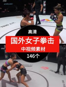 国外女子拳击视频素材中视频素材-146个-财仔梦想资源网