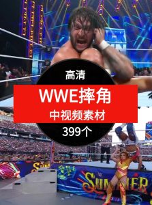 M214-WWE摔角视频-财仔梦想资源网