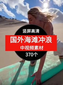 国外海滩冲浪视频素材中视频素材-财仔梦想资源网