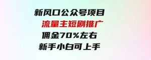 新风口公众号项目，流量主短剧推广，佣金70%左右，新手小白可上手-财仔梦想资源网