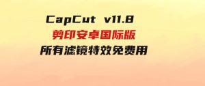 CapCutv11.8剪印安卓国际版、所有滤镜特效免费用-财仔梦想资源网