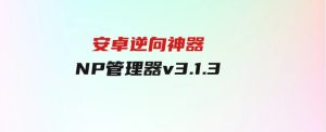 安卓逆向神器NP管理器v3.1.3-财仔梦想资源网