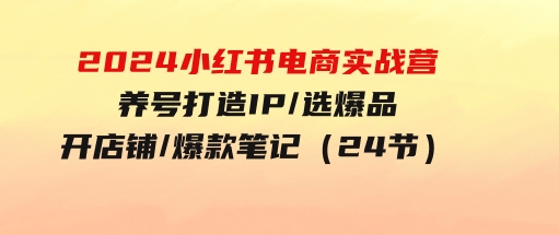 2024小红书电商实战营，养号打造IP/选爆品/开店铺/爆款笔记/等等（24节）-财仔梦想资源网