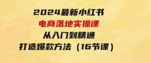 2024最新小红书电商落地实操课，从入门到精通，打造爆款方法（16节课）-财仔梦想资源网