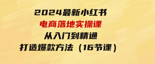 2024最新小红书电商落地实操课，从入门到精通，打造爆款方法（16节课）-财仔梦想资源网
