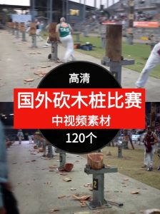 国外砍木桩比赛视频素材中视频素材-财仔梦想资源网