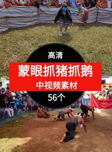 蒙眼抓猪抓鹅视频素材中视频素材-56个-财仔梦想资源网