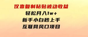 仅靠复制粘贴，被动收益，轻松月入1w+，新手小白秒上手，互联网风口项目-财仔梦想资源网