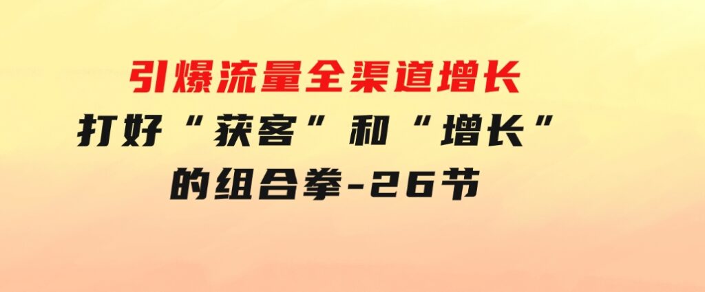 引爆流量全渠道增长，打好“获客”和“增长”的组合拳-26节-财仔梦想资源网
