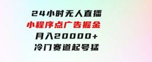 24小时无人直播小程序点广告掘金，月入20000+，冷门赛道，起好猛，独…-财仔梦想资源网