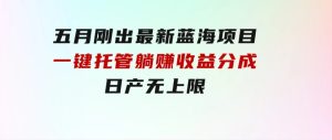 五月刚出最新蓝海项目一键托管躺赚收益分成日产无上限-财仔梦想资源网