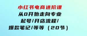 小红书电商进阶课：从0开始走向专业起号/开店流程/爆款笔记/等等（20节）-财仔梦想资源网