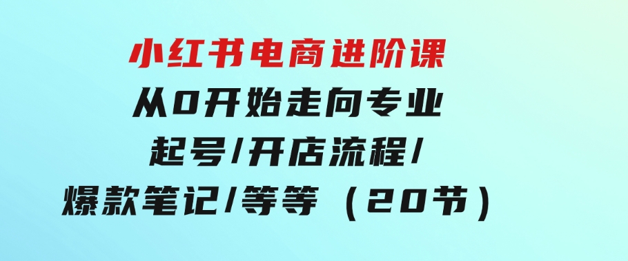 小红书电商进阶课：从0开始走向专业起号/开店流程/爆款笔记/等等（20节）-财仔梦想资源网