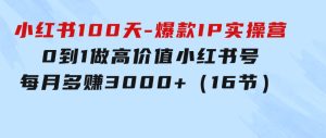 小红书100天-爆款IP实操营，0到1做高价值小红书号每月多赚3000+（16节）-财仔梦想资源网