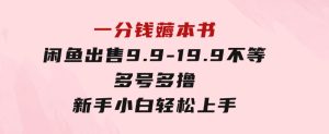 一分钱薅本书闲鱼出售9.9-19.9不等多号多撸新手小白轻松上手-财仔梦想资源网
