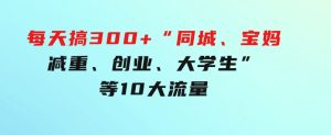 0投入，每天搞300+“同城、宝妈、减重、创业、大学生”等10大流量！-财仔梦想资源网