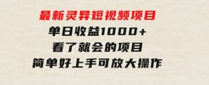 最新灵异短视频项目，单日收益1000+看了就会的项目，简单好上手可放大操作-财仔梦想资源网