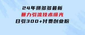 24年拼多多最新暴利引流技术曝光，日引300+付费创业粉，操作简单，流量…-财仔梦想资源网