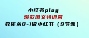 小红书plog爆款图文特训营，教你从0-1做小红书（9节课）-财仔梦想资源网
