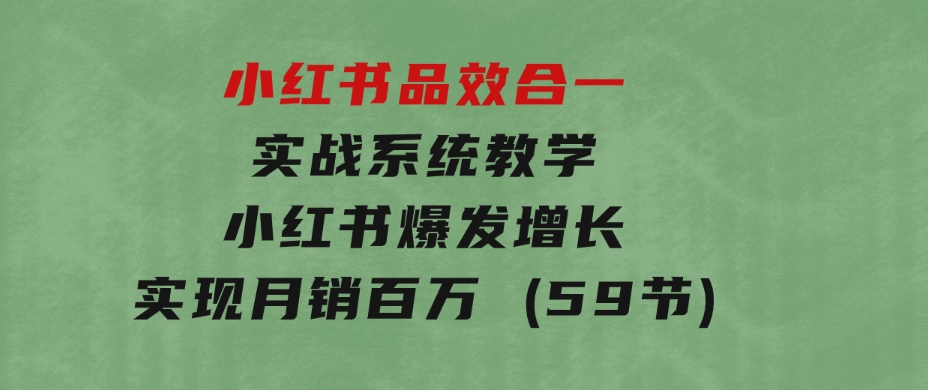 小红书品效合一实战系统教学：小红书爆发增长，实现月销百万(59节)-财仔梦想资源网