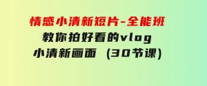 情感小清新短片-全能班，教你拍好看的vlog小清新画面(30节课)-财仔梦想资源网