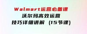 Walmart运营必备课：沃尔玛高效运营技巧详细讲解(15节课)-财仔梦想资源网