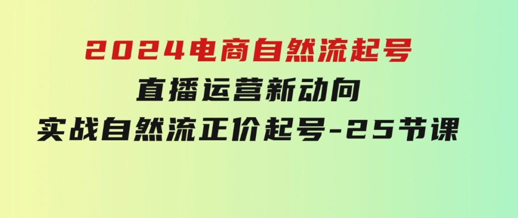 2024电商自然流起号，直播运营新动向实战自然流正价起号-25节课-财仔梦想资源网