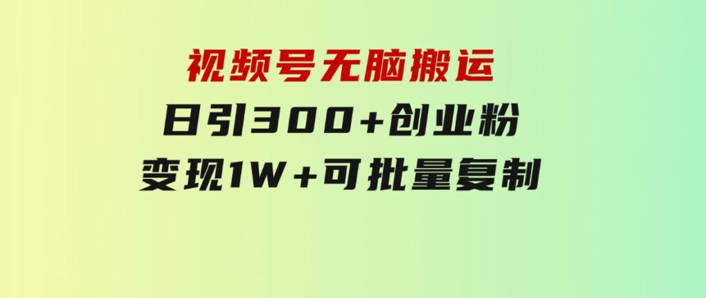 视频号无脑搬运日引300+创业粉，变现1W+可批量复制-财仔梦想资源网