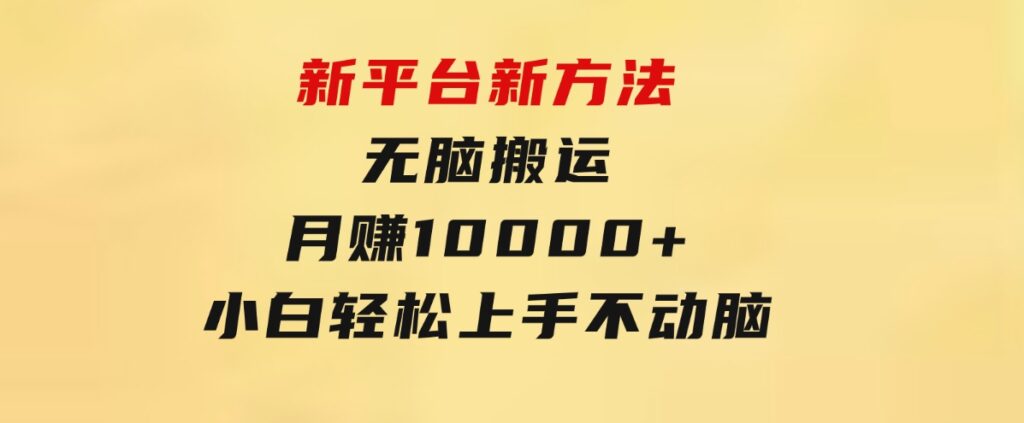 新平台新方法，无脑搬运，月赚10000+，小白轻松上手不动脑-财仔梦想资源网