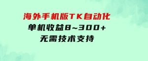 海外手机版TK自动化，单机收益8~300+，无需技术支持，新手小白均可操作-财仔梦想资源网