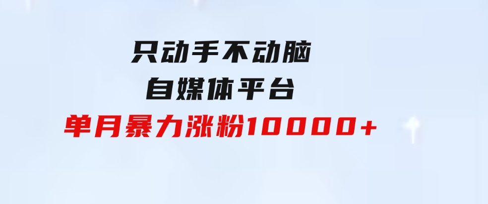 只动手不动脑，自媒体平台单月暴力涨粉10000+-财仔梦想资源网