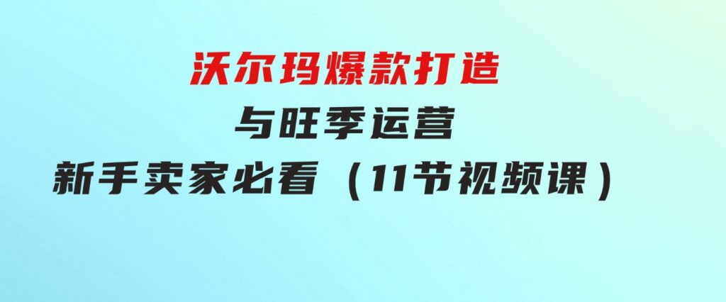 沃尔玛爆款打造与旺季运营，新手卖家必看（11节视频课）-财仔梦想资源网
