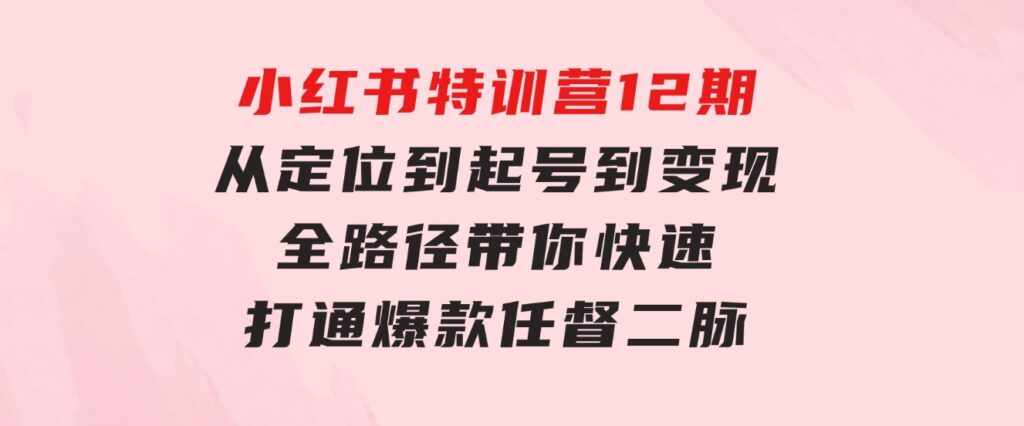 小红书特训营12期：从定位到起号、到变现全路径带你快速打通爆款任督二脉-财仔梦想资源网
