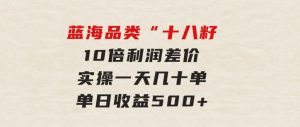 被忽略的蓝海品类“十八籽”，10倍利润差价，实操一天几十单单日收益500+-财仔梦想资源网