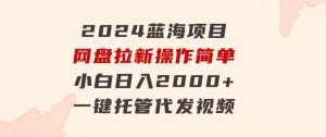 2024蓝海项目，网盘拉新，操作简单小白日入2000+，一键托管代发视频-财仔梦想资源网