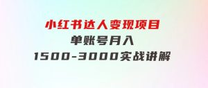 小红书达人变现项目：单账号月入1500-3000实战讲解-财仔梦想资源网