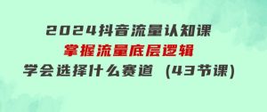 2024抖音流量·认知课：掌握流量底层逻辑，明白应该选择什么赛道(43节课)-财仔梦想资源网