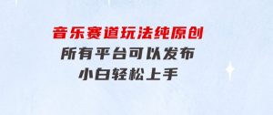 音乐赛道玩法纯原创，所有平台可以发布，小白轻松上手-财仔梦想资源网